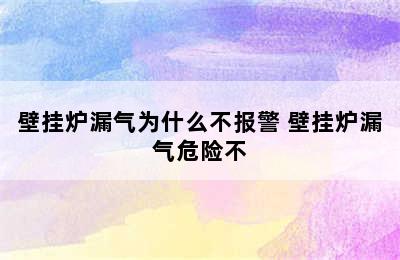 壁挂炉漏气为什么不报警 壁挂炉漏气危险不